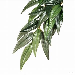 Exo-Terra Rucus Silk Jungle Vivarium Plant (small) - Exo-terra