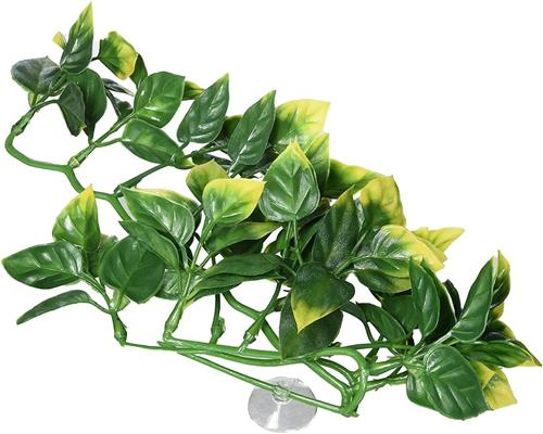 EXO TERRA TERRARIUM PLANTS - Plastic Amapallo Shrub - Small