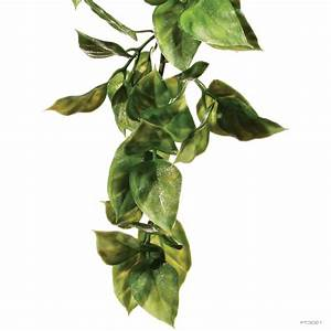 Exo Terra Terrarium Plant Amapallo Shrub Plastic Large
