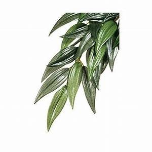 Exo-Terra Ruscus Silk Jungle Vivarium Plant (large) - Exo-terra