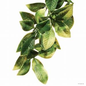 EXO TERRA TERRARIUM PLANTS - Plastic Mandarin Shrub - Medium