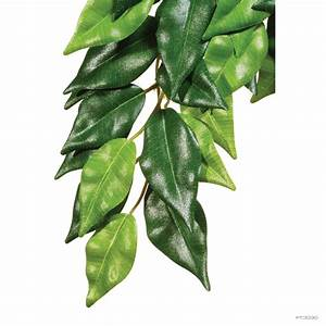 EXO TERRA TERRARIUM PLANTS - Silk Ficus Plant - Small (min 6)