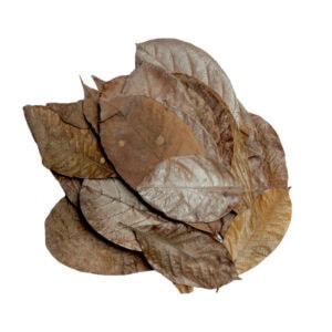 HabiStat Leaves – Mixed Leaves (30 Pack)