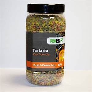Reptile - ProRep Tortoise Dry Formula Fruit & Flower Mix 400g