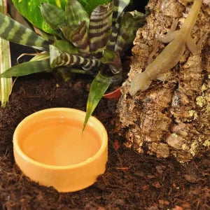 HabiStat Round Plastic Water Bowl, Small