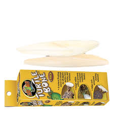 cuttle fish bone zoomed for reptil e supplement