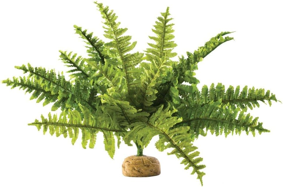 EXO TERRA TERRARIUM PLANTS - Silk Ficus Plant - Large (min 6)