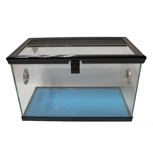 Betta Spider Tank β 40 x 22 x 25cm