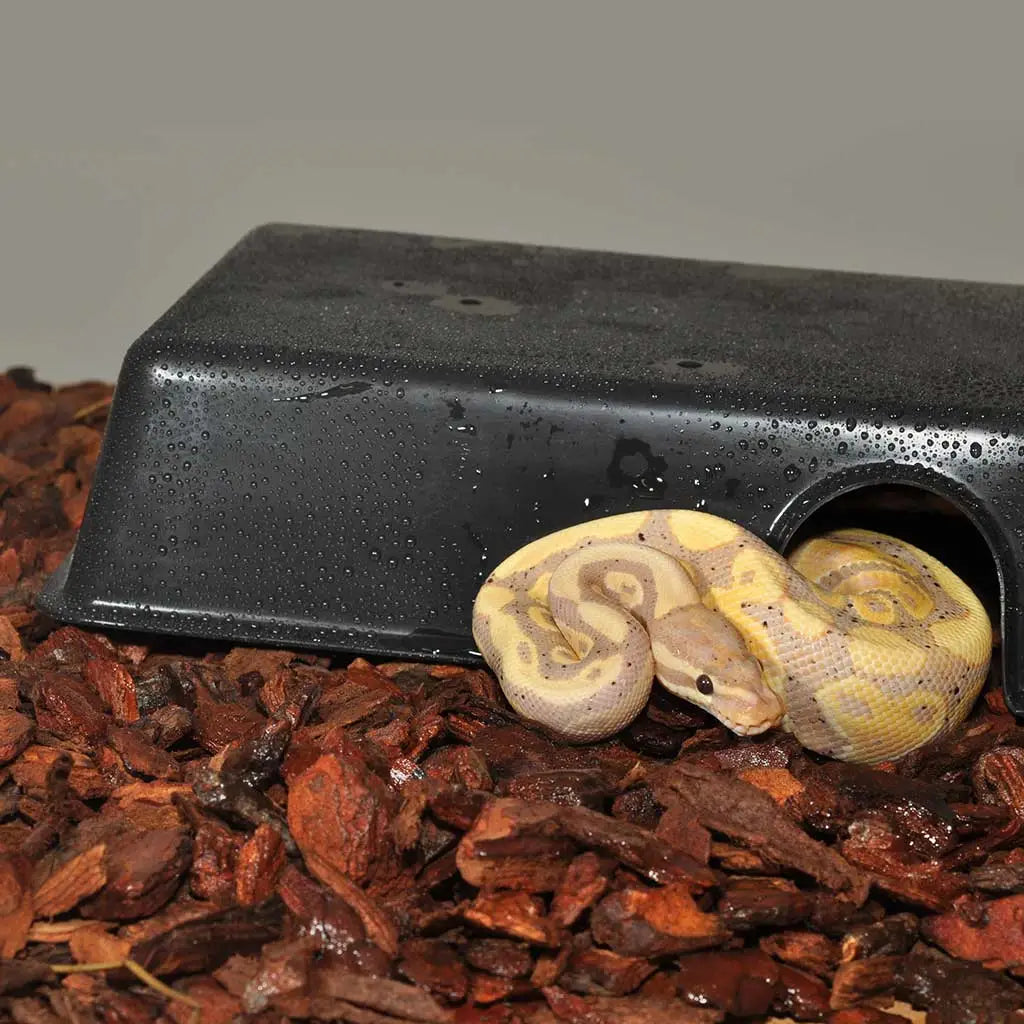HabiStat Plastic Hide – Medium