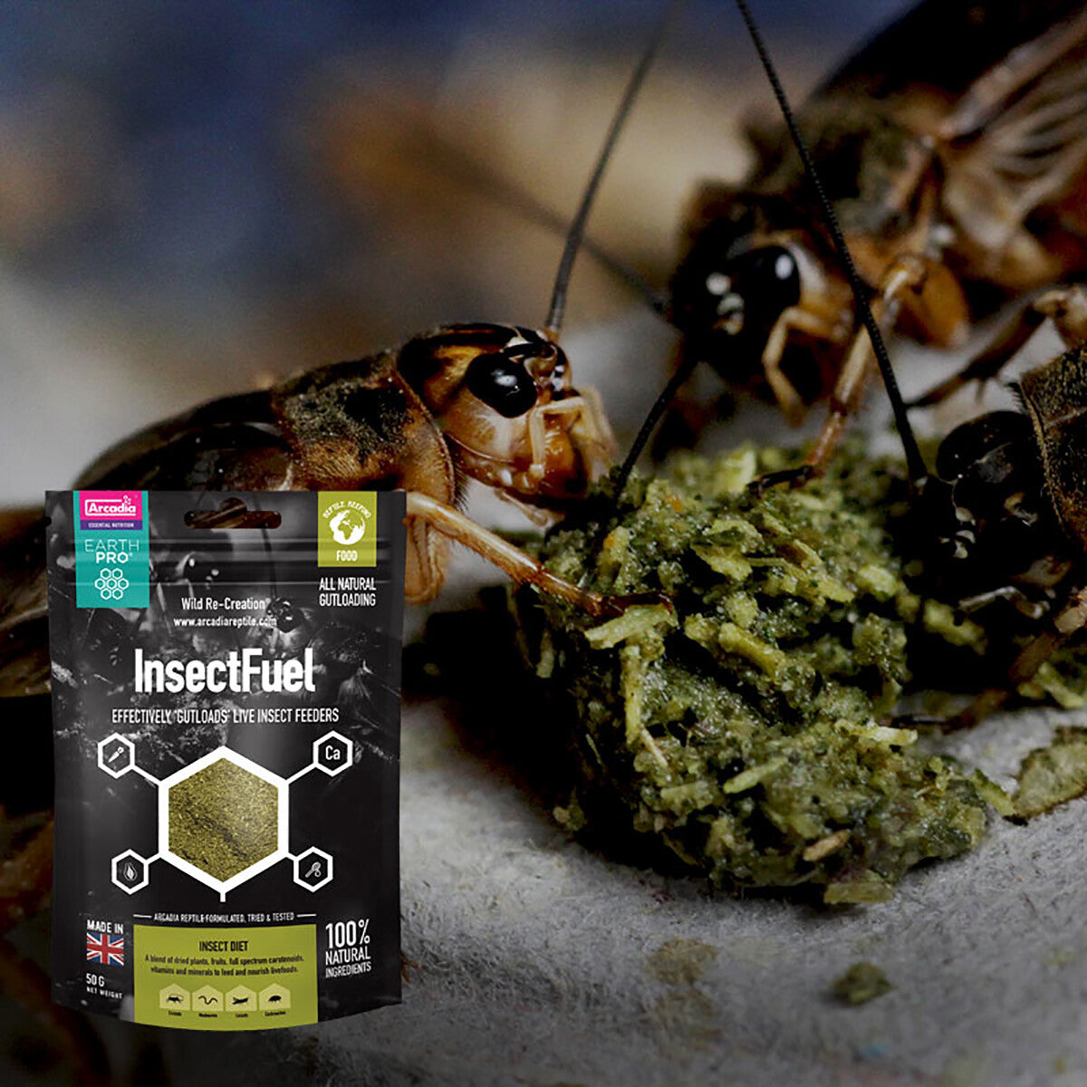 Arcadia EarthPro Insect Fuel โ 50g