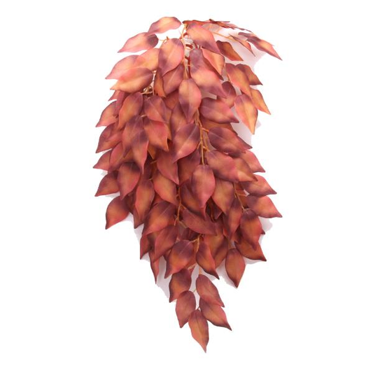 Betta Terra Vine Red 37cm