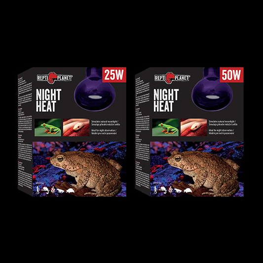 Repti Planet Night Heat 50w