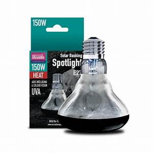 Arcadia Solar Basking Spotlight, 150w - Ely Exotics Shop