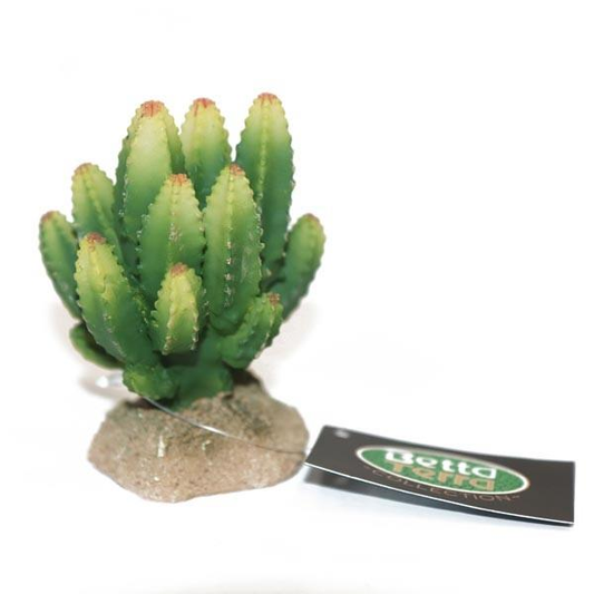 Betta Terra Small Green Cactus