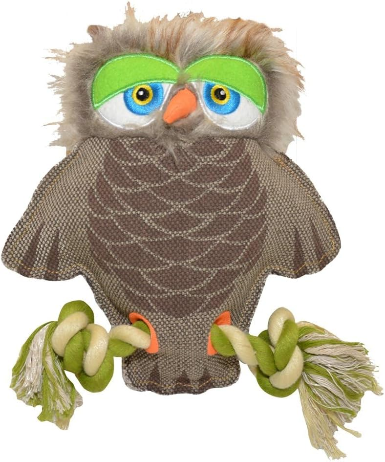 Duvo Canvas Owl