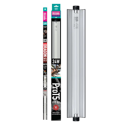 Arcadia ProT5 UVB Kit – Dragon 14% UVB, 24W
