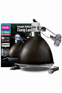 Arcadia Reflector Clamp Lamp with Ceramic Holder (E27), 20cm, Graphite