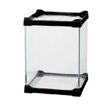Betta Spider Tank – 30 x 18 x 20cm (Black)