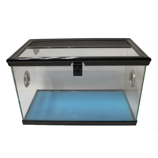 Betta Spider Tank – 40 x 22 x 25cm