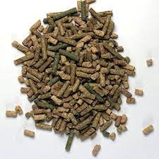 Arcadia EarthPro Turtle Gold – 300g